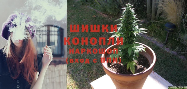 стафф Зеленокумск