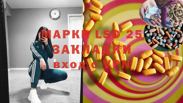 стафф Зеленокумск