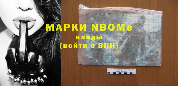 стафф Зеленокумск