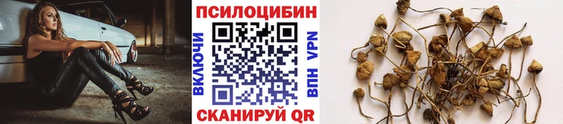 Купить где Новоульяновск Псилоцибиновые грибы ЛСД